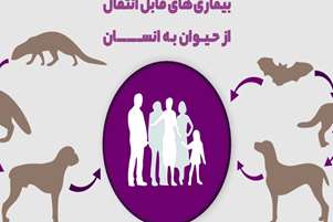 گزش حیوانات :یک فوریت بهداشتی
