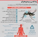 معاون بهداشتی شبکه بهداشت ودرمان لامرد  از مشاهده پشه آئدس در شهرستان های  جنوبی کشور خبر داد. 