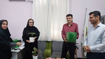 در راستای برنامه های هفته ملی جمعیت انجام شد؛ تجلیل از خانواده باشکوه ، کارکنان  شاغل در شبکه بهداشت ودرمان لامرد